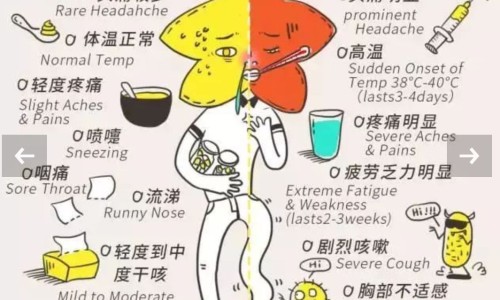土荆芥全国中草药汇编-中药土荆芥的别名网-分享土荆芥用法与用量，中药土荆芥的别名叫什么知识库