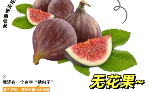 土荆芥的副作用及禁忌-中药土荆芥的别名网-分享土荆芥用法与用量，中药土荆芥的别名叫什么知识库